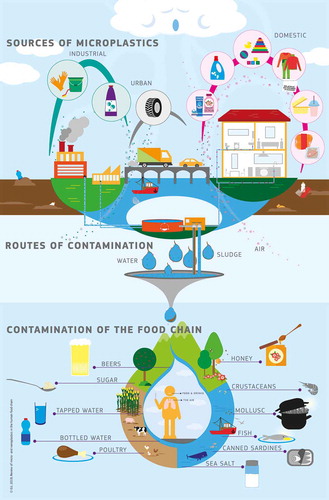 diagrama fuente plásticos